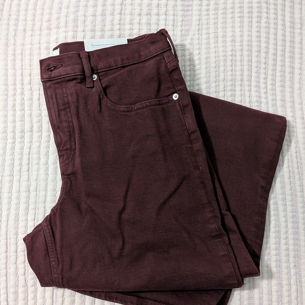 NWT Everlane the Column Jean 29L
